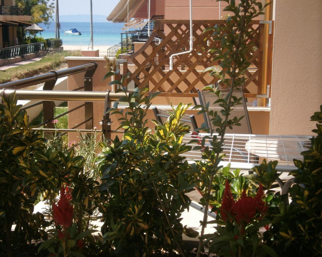 Dafni'S Seaside Luxury Studios Nikiti  Exterior foto